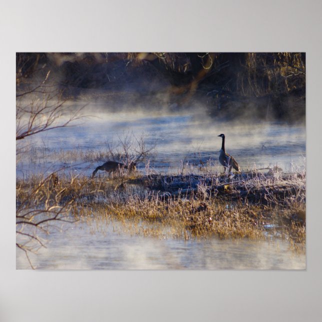 Poster d'oies en pause (Devant)