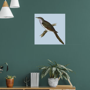 Poster d'oiseau de Cuckoo américain