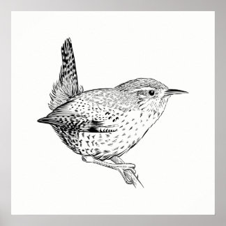 Poster d'oiseaux / OEuvre murale usée