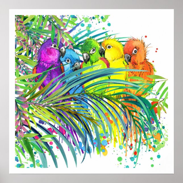 Poster d'oiseaux tropicaux (Devant)