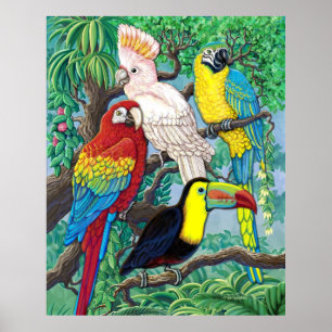 Poster d'oiseaux tropicaux