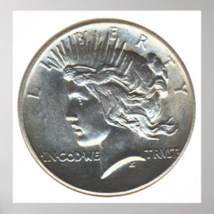 Poster Dollar de la liberté