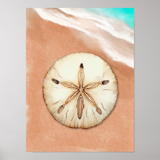 Poster Dollar de sable d'aquarelle sur la plage (Devant)
