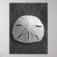 Poster Dollar de sable (noir et blanc)