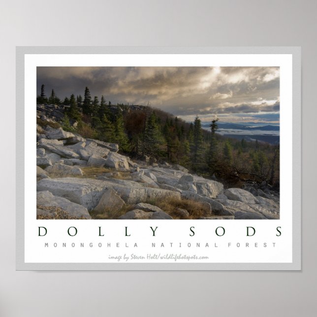 Poster Dolly Sods Wilderness Area Virginie-Occidentale (Devant)