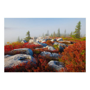 Poster Dolly Sods Wilderness Tombe Pittoresque Avec Fog