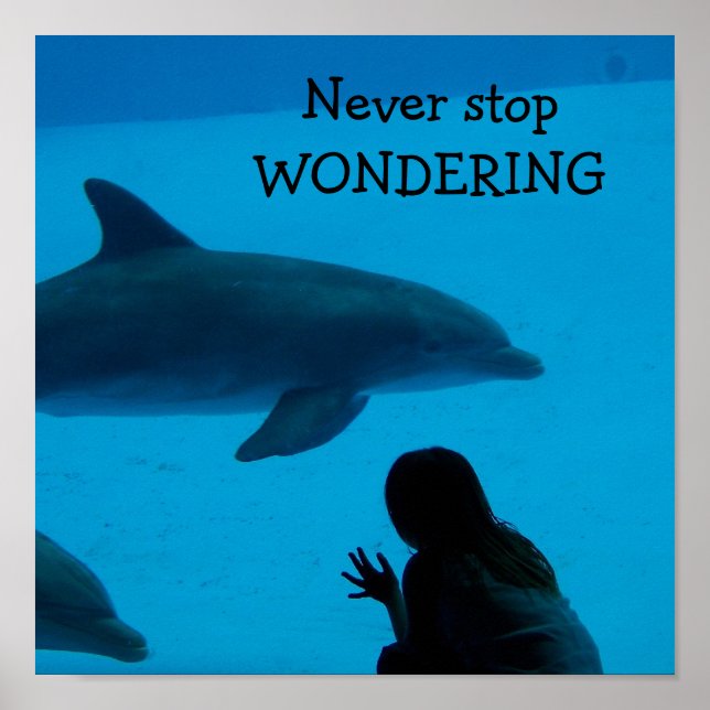 Poster Dolphin and Ocean "Never Stop Wondering" (Devant)