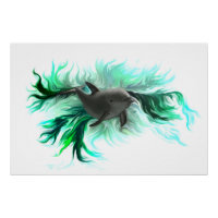 Poster Dolphin Baby
