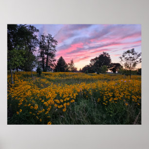 Poster Domaine des rêves