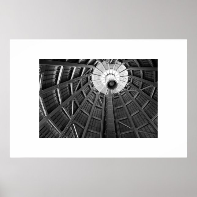 Poster Dome Bones B&W (Devant)