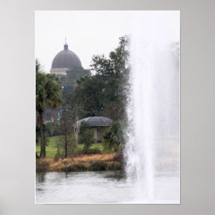 Poster Domes Dans Le Parc