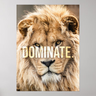 Poster Dominez - Lion, Succès, Entrepreneur, Salle de gym