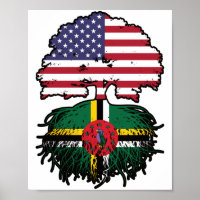 Dominique Dominicain Américain Etats-Unis Drapeau