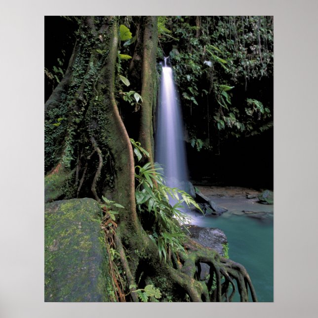 Poster Dominique, Piscine d'émeraude, Cascade. (Devant)