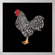 Dominique Rooster