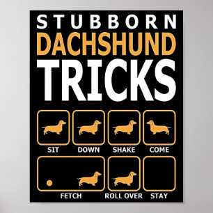 Poster Don de chien Tucs Dachshund têtus