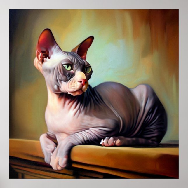Poster Don Sphynx (Devant)