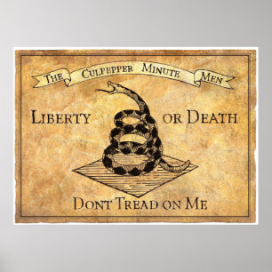 Poster Don’t Tread on Me