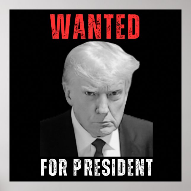 Poster Donald Trump 2024 Recherché pour le président (Devant)