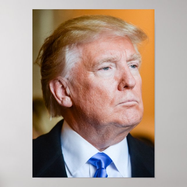 Poster Donald Trump Portrait (Devant)