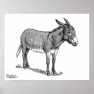 Poster Donkey