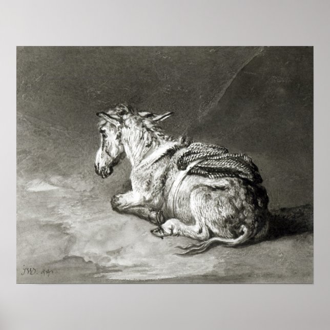 Poster Donkey au repos (Devant)