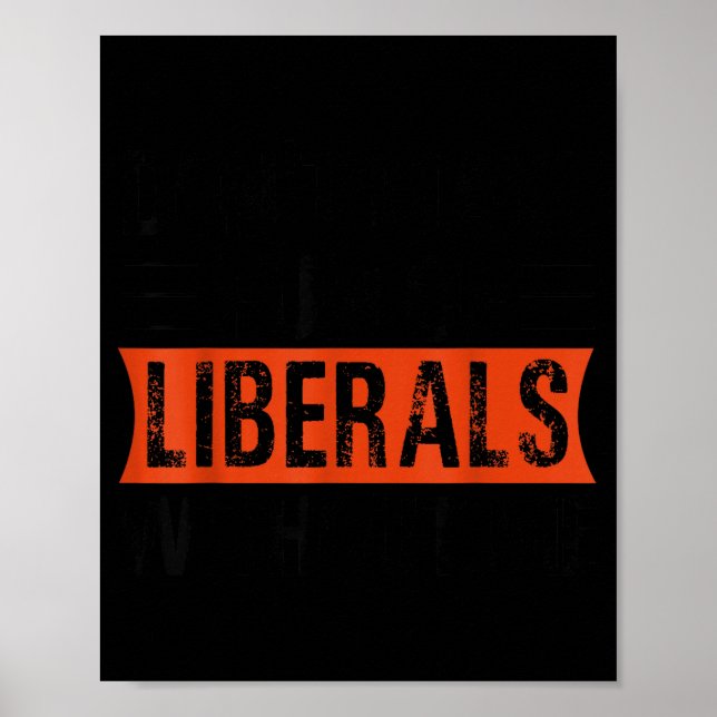 Poster Don't Make Fun Of Liberals Without Me Funny Litica (Devant)