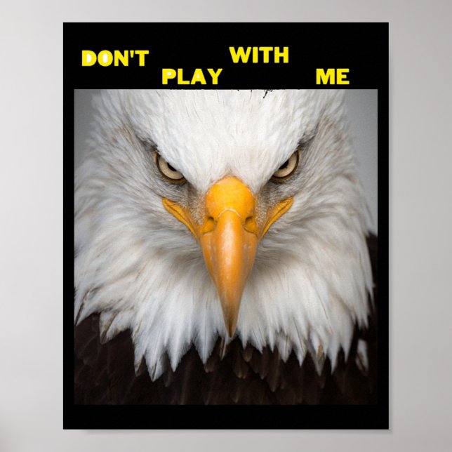 Poster Dont Play With Angry Eagle  (Devant)