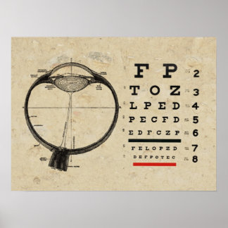 Poster d'optométrie Ophtalmologiste