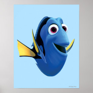 Poster Dory 1