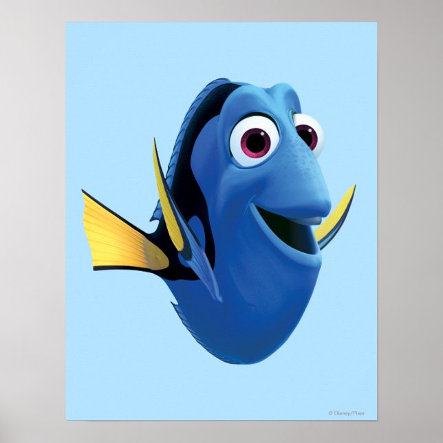 Poster Dory 1 (Devant)