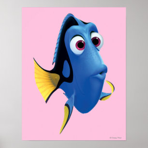 Poster Dory 4