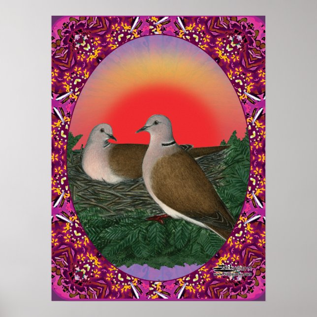 Poster Doses encadrées (Devant)