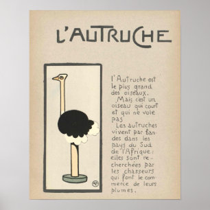 Poster d'Ostrich