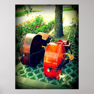 Poster Double Basse Couple