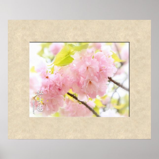 Poster Double Cherry Blossom: Benitemari (Devant)