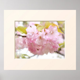 Poster Double Cherry Blossom : Benitemari ポ ス タ ー