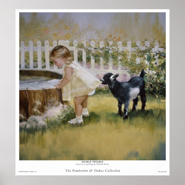 Poster Double problème (Devant)