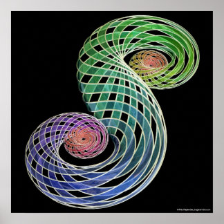 Poster Double spirale