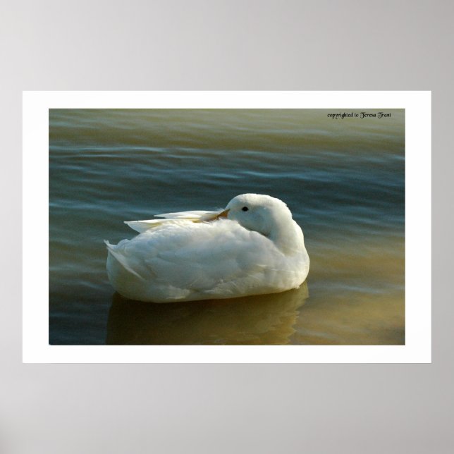 Poster Doux en blanc (Devant)