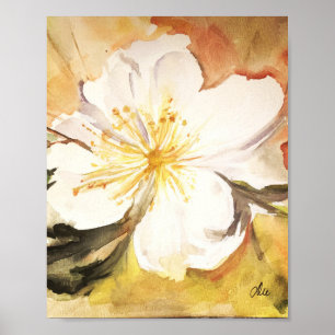 Poster doux Magnolia Premium Canvas Gloss (8x10)