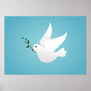 Poster Dove