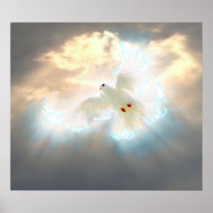 Poster Dove