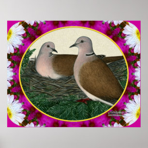 Poster Dove Nest and Flowers