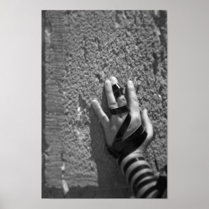 Poster Doven dans le Kotel