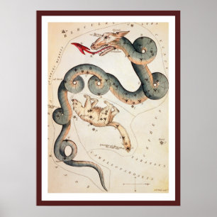 Poster Draco et Ursa Minor par Sidney Hall