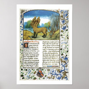 Poster Dragon à sept têtes, inconnu