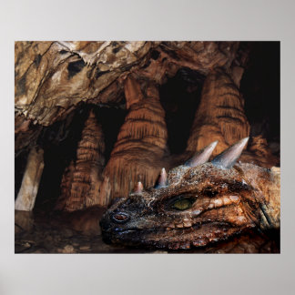 Poster Dragon cave