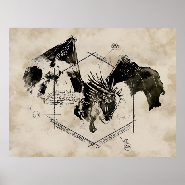 Poster Dragon de Queue de Corne Hongrois (Devant)