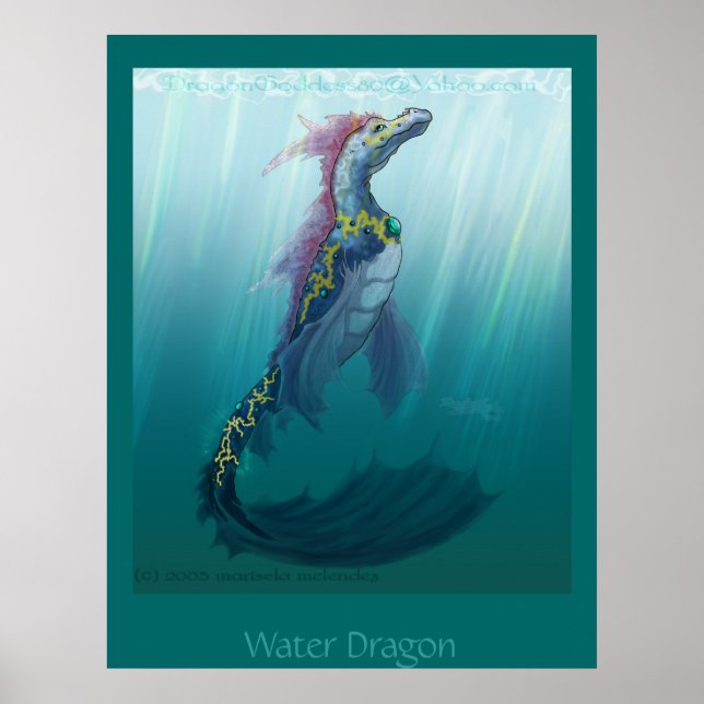 Poster Dragon d'eau (Devant)